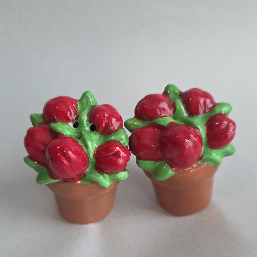 Ceramic Red Flower Mini Pot Salt & Pepper Shakers NWOT